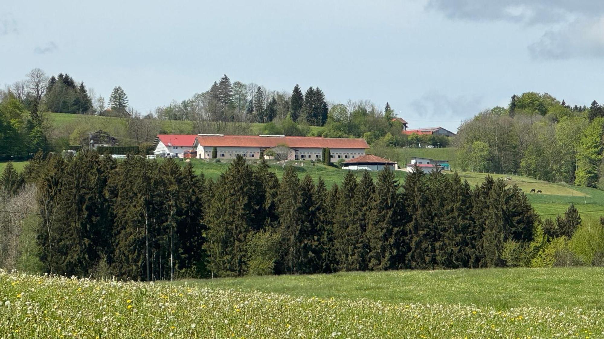 Gut Buchenhof Apartment Buchenberg  Exterior photo